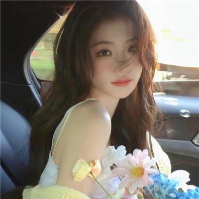 禁宫龙虎斗
