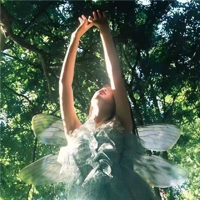 塔拉迪加之夜:瑞奇鲍比的民谣